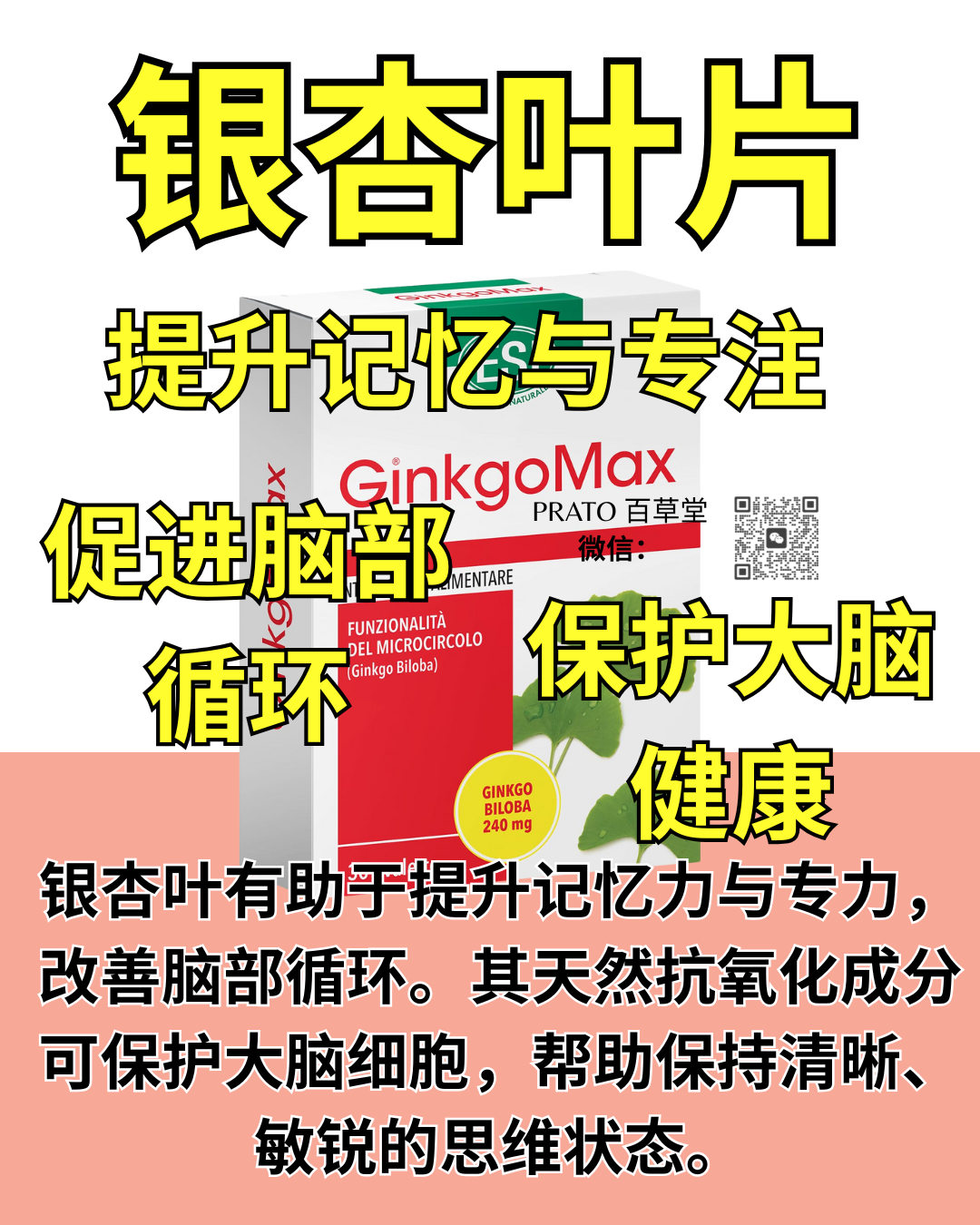 Esi Ginkgomax 银杏叶片