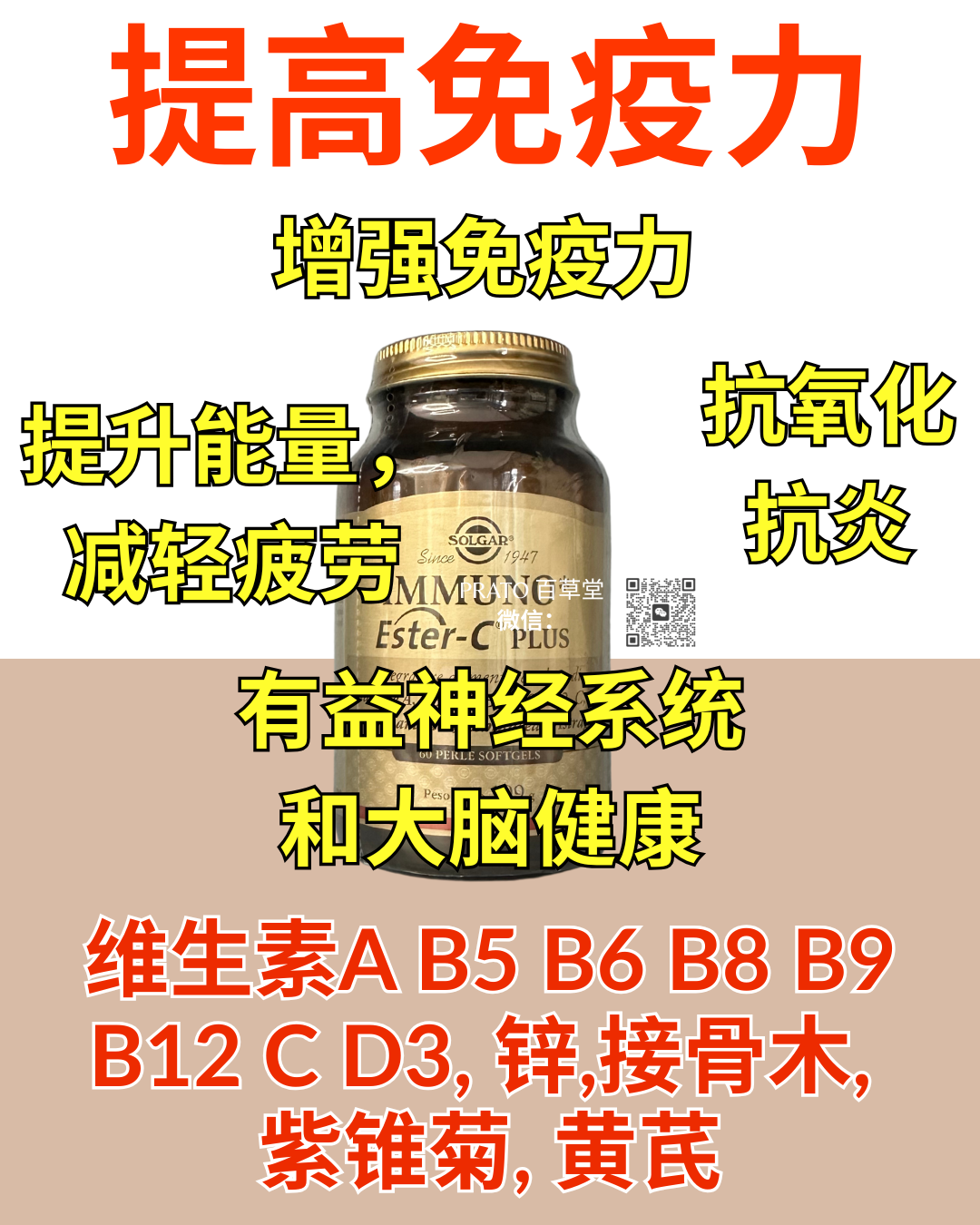 Solgar Immuno Ester C 提高免疫力