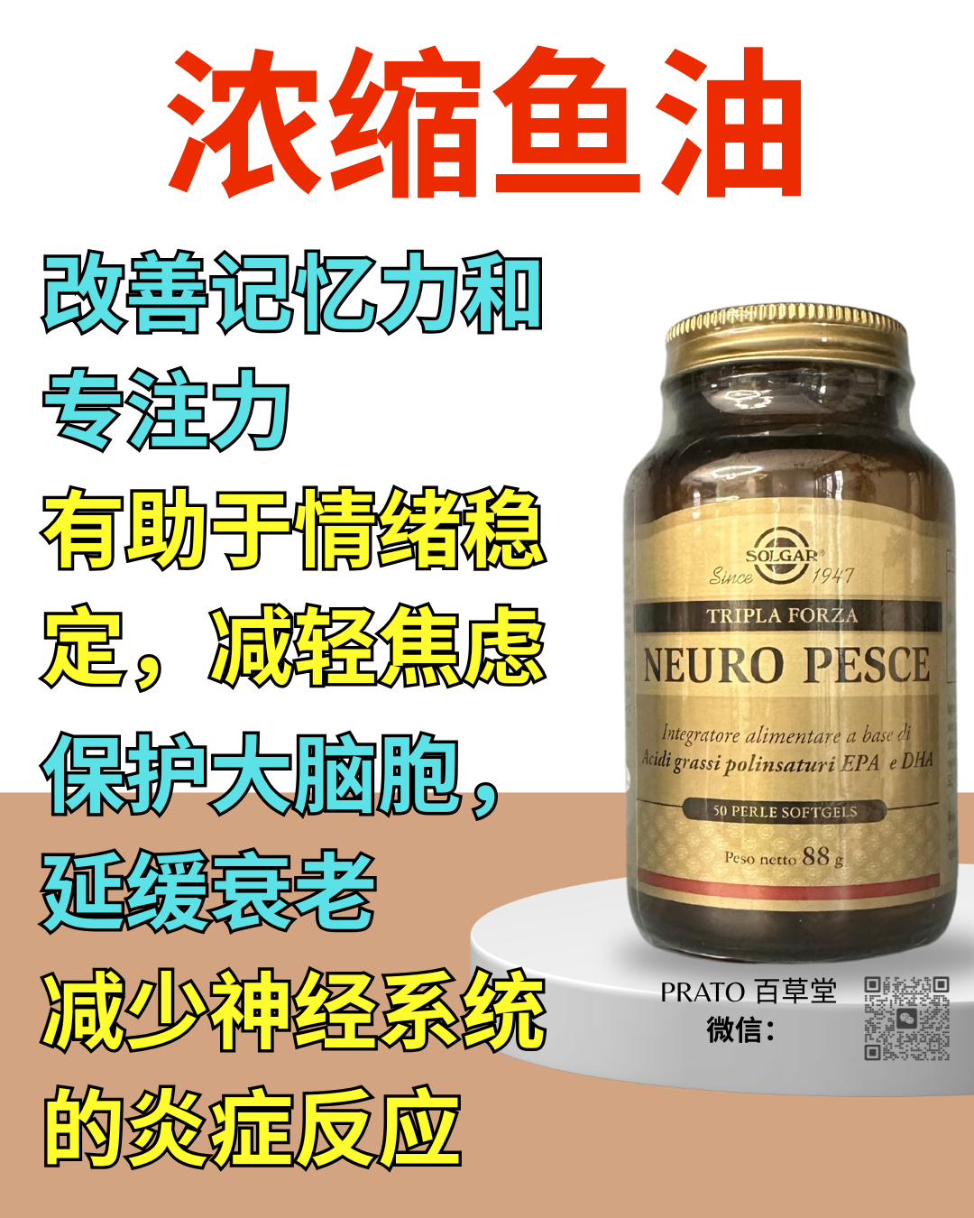 Solgar Neuro Pesce 浓缩鱼油
