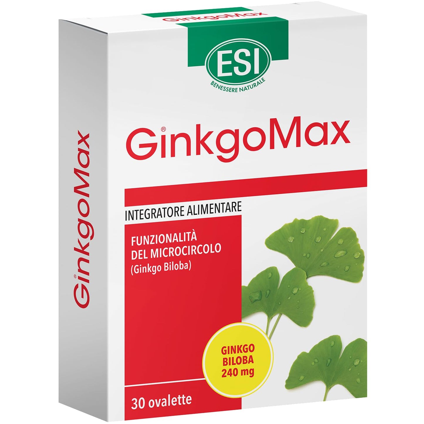 Esi Ginkgomax 银杏叶片