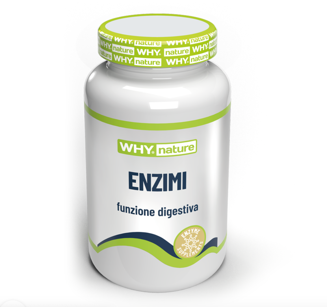 Why nature Enzimi 消化酶